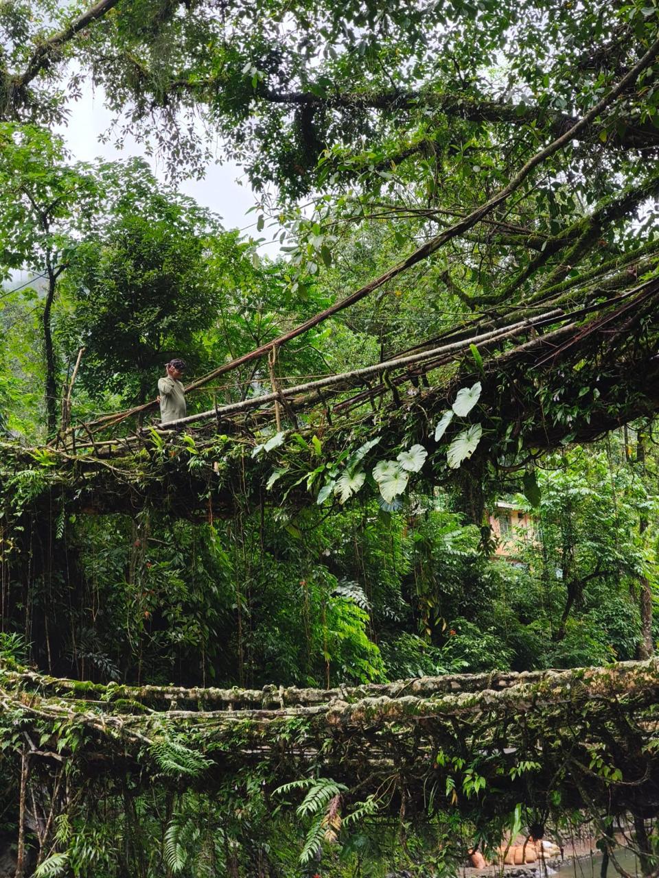Enchanting Shillong Tour